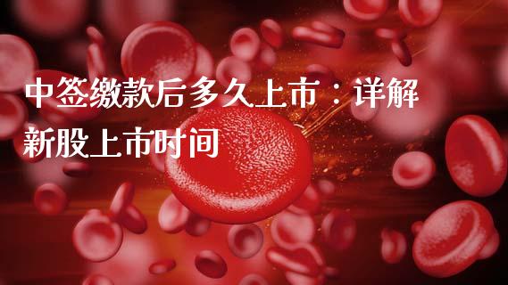 中签缴款后多久上市：详解新股上市时间_https://cj006.lansai.wang_金融监管_第1张