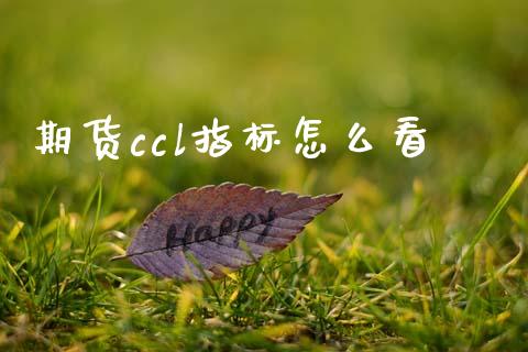 期货ccl指标怎么看_https://cj006.lansai.wang_财经新闻_第1张