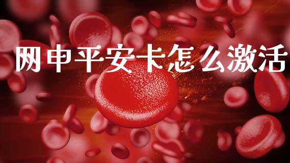 网申平安卡怎么激活_https://cj006.lansai.wang_期货开户_第1张