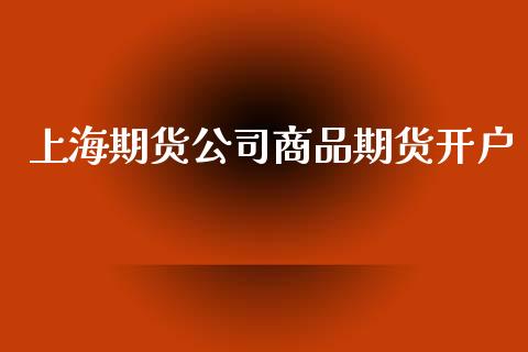 上海期货公司商品期货开户_https://cj006.lansai.wang_金融监管_第1张