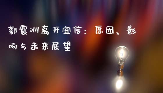 郭震洲离开宜信：原因、影响与未来展望_https://cj006.lansai.wang_金融监管_第1张