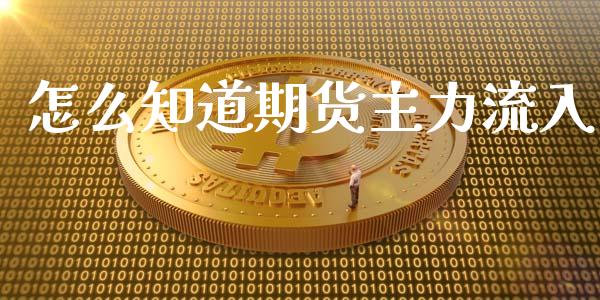 怎么知道期货主力流入_https://cj006.lansai.wang_外汇交易_第1张