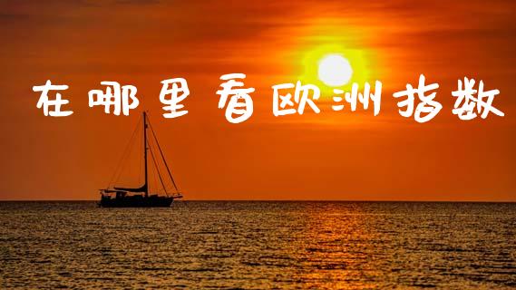 在哪里看欧洲指数_https://cj006.lansai.wang_全球市场_第1张