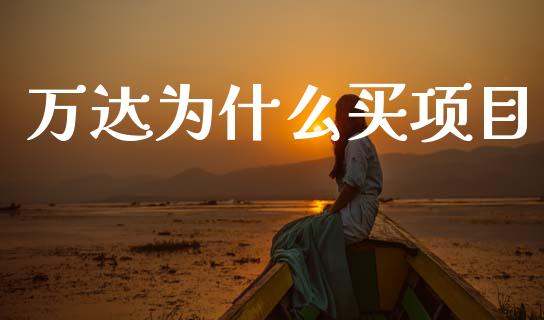 万达为什么买项目_https://cj006.lansai.wang_债券资讯_第1张