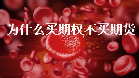 为什么买期权不买期货_https://cj006.lansai.wang_期货开户_第1张