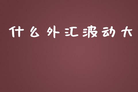 什么外汇波动大_https://cj006.lansai.wang_债券资讯_第1张