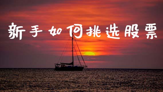 新手如何挑选股票_https://cj006.lansai.wang_债券资讯_第1张