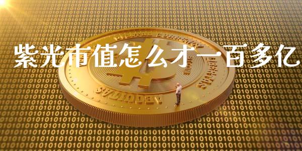 紫光市值怎么才一百多亿_期货开户_第1张_期货开户_金融监管_外汇交易_债券资讯_全球市场_财经新闻 紫光市值怎么才一百多亿_https://cj006.lansai.wang_期货开户_第1张