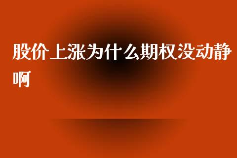 股价上涨为什么期权没动静啊_https://cj006.lansai.wang_期货开户_第1张