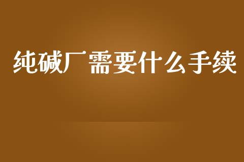 纯碱厂需要什么手续_https://cj006.lansai.wang_金融监管_第1张
