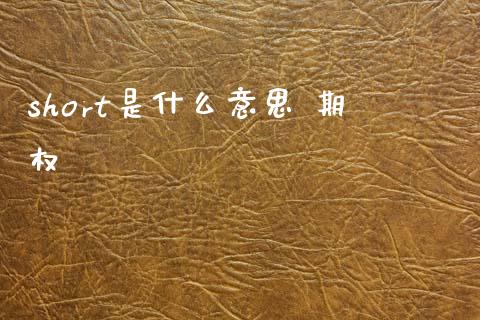 short是什么意思 期权_https://cj006.lansai.wang_全球市场_第1张