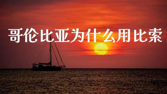 哥伦比亚为什么用比索_https://cj006.lansai.wang_外汇交易_第1张