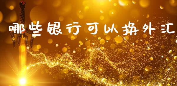 哪些银行可以换外汇_https://cj006.lansai.wang_金融监管_第1张
