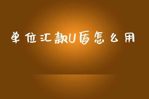 单位汇款U盾怎么用_https://cj006.lansai.wang_外汇交易_第1张