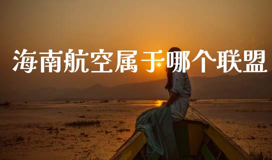 海南航空属于哪个联盟_https://cj006.lansai.wang_财经新闻_第1张