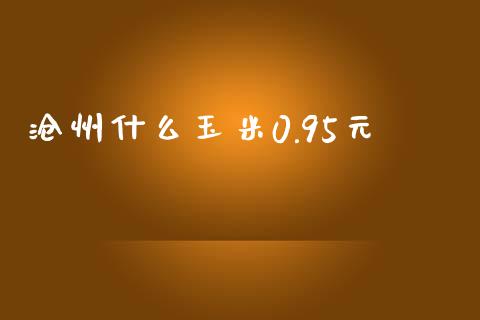 沧州什么玉米0.95元_https://cj006.lansai.wang_金融监管_第1张