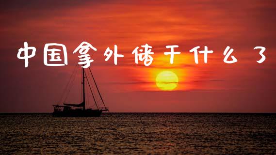 中国拿外储干什么了_https://cj006.lansai.wang_外汇交易_第1张