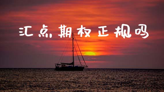 汇点期权正规吗_https://cj006.lansai.wang_债券资讯_第1张