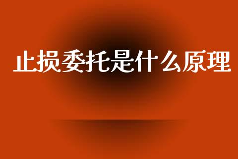 止损委托是什么原理_https://cj006.lansai.wang_外汇交易_第1张