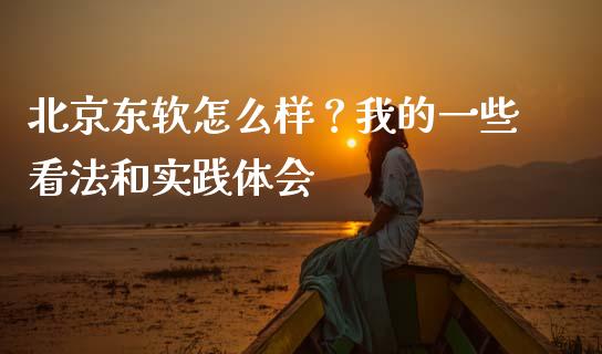 北京东软怎么样？我的一些看法和实践体会_https://cj006.lansai.wang_全球市场_第1张