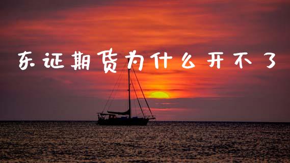 东证期货为什么开不了_https://cj006.lansai.wang_全球市场_第1张