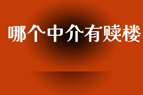 哪个中介有赎楼_https://cj006.lansai.wang_金融监管_第1张