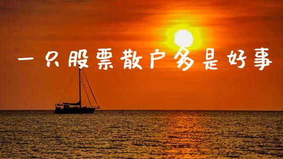 一只股票散户多是好事_https://cj006.lansai.wang_期货开户_第1张