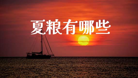 夏粮有哪些_https://cj006.lansai.wang_财经新闻_第1张
