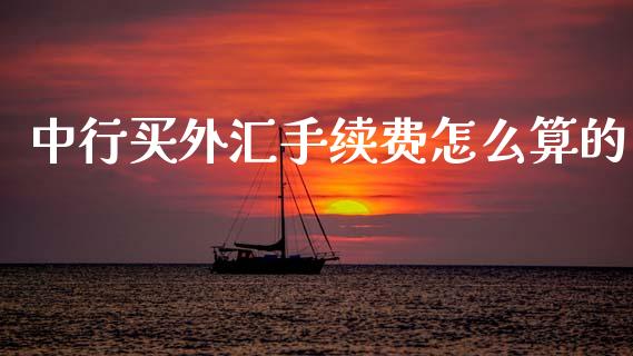 中行买外汇手续费怎么算的_https://cj006.lansai.wang_金融监管_第1张