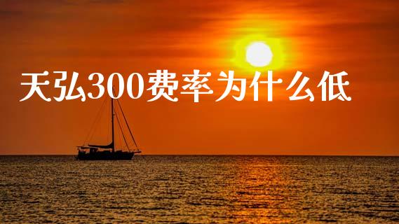 天弘300费率为什么低_https://cj006.lansai.wang_期货开户_第1张