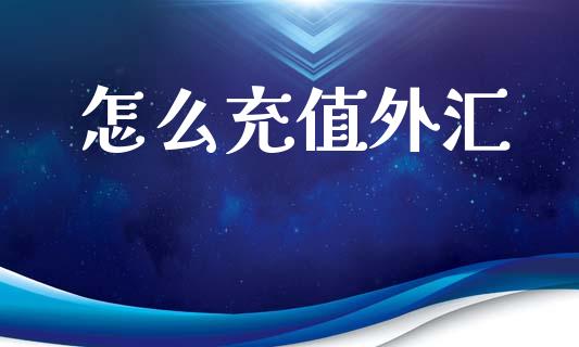 怎么充值外汇_https://cj006.lansai.wang_债券资讯_第1张
