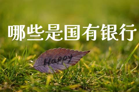 哪些是国有银行_https://cj006.lansai.wang_期货开户_第1张