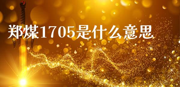 郑煤1705是什么意思_https://cj006.lansai.wang_期货开户_第1张