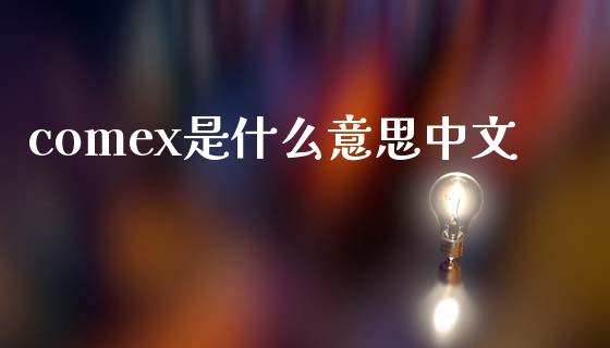 comex是什么意思中文_https://cj006.lansai.wang_全球市场_第1张