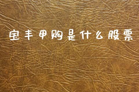 宝丰甲购是什么股票_https://cj006.lansai.wang_外汇交易_第1张