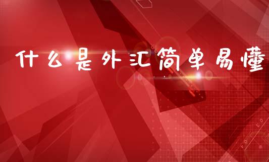 什么是外汇简单易懂_https://cj006.lansai.wang_全球市场_第1张