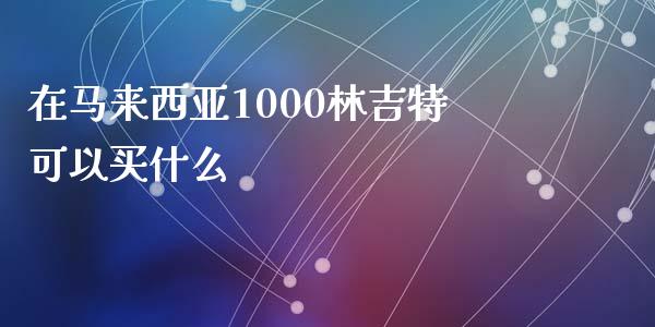在马来西亚1000林吉特可以买什么_https://cj006.lansai.wang_外汇交易_第1张