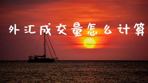 外汇成交量怎么计算_https://cj006.lansai.wang_金融监管_第1张