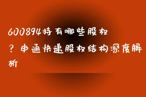 600894持有哪些股权？申通快递股权结构深度解析_https://cj006.lansai.wang_债券资讯_第1张