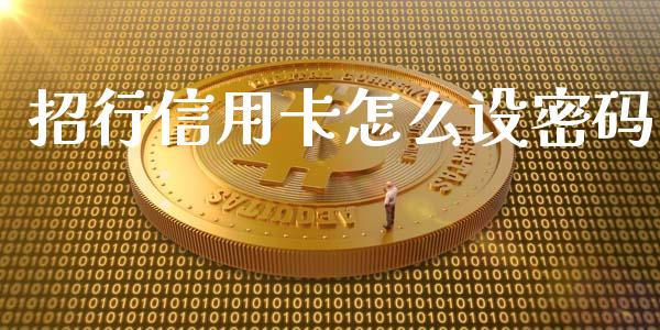 招行信用卡怎么设密码_https://cj006.lansai.wang_债券资讯_第1张