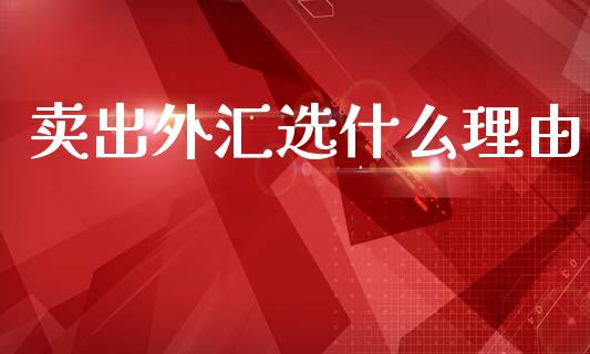 卖出外汇选什么理由_https://cj006.lansai.wang_债券资讯_第1张