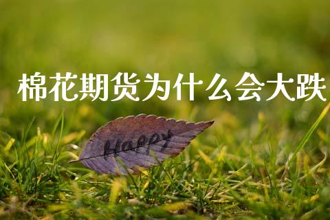 棉花期货为什么会大跌_https://cj006.lansai.wang_全球市场_第1张