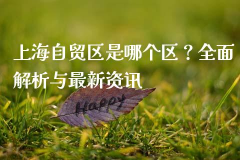 上海自贸区是哪个区？全面解析与最新资讯_https://cj006.lansai.wang_外汇交易_第1张