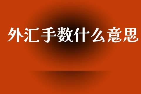 外汇手数什么意思_https://cj006.lansai.wang_期货开户_第1张