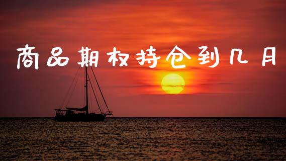 商品期权持仓到几月_https://cj006.lansai.wang_外汇交易_第1张