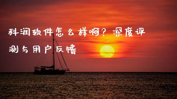 科润软件怎么样啊？深度评测与用户反馈_https://cj006.lansai.wang_金融监管_第1张