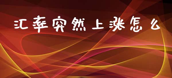 汇率突然上涨怎么_https://cj006.lansai.wang_债券资讯_第1张