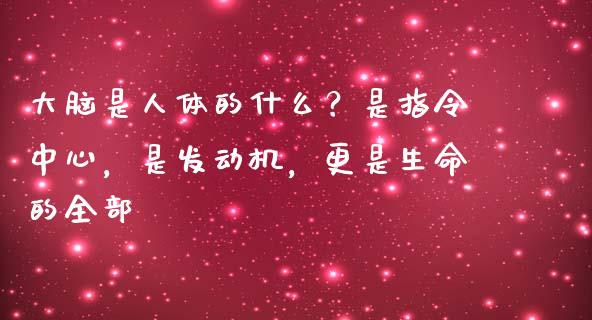 大脑是人体的什么？是指令中心，是发动机，更是生命的全部_https://cj006.lansai.wang_外汇交易_第1张
