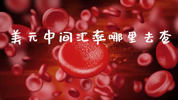 美元中间汇率哪里去查_https://cj006.lansai.wang_全球市场_第1张