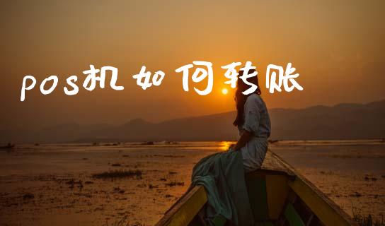 pos机如何转账_https://cj006.lansai.wang_金融监管_第1张